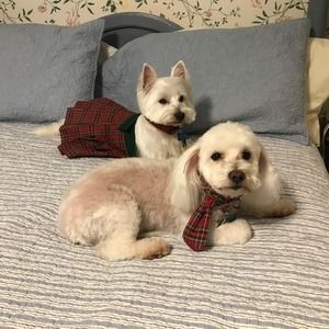 Meet your Posher, Sherrell